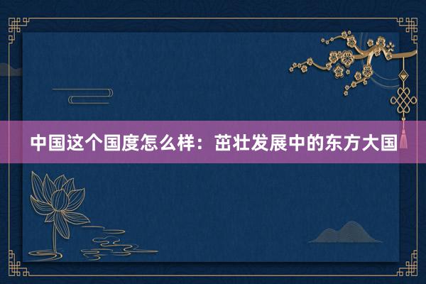 中国这个国度怎么样：茁壮发展中的东方大国